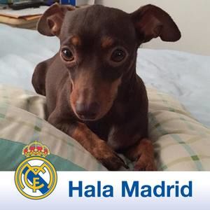 Meet your Posher, Rosa